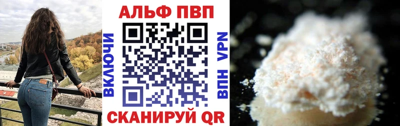 где найти   Кизилюрт  Alfa_PVP СК КРИС 