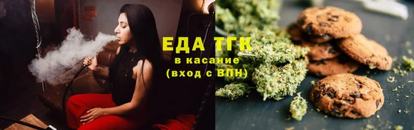 дмт Бородино