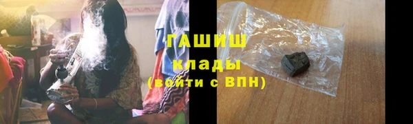 дмт Бородино