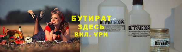 дмт Бородино
