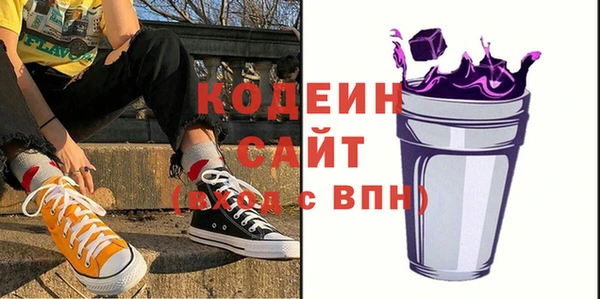 дмт Бородино