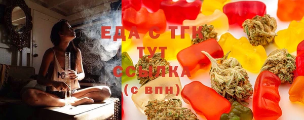 дмт Бородино