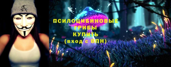 дмт Бородино