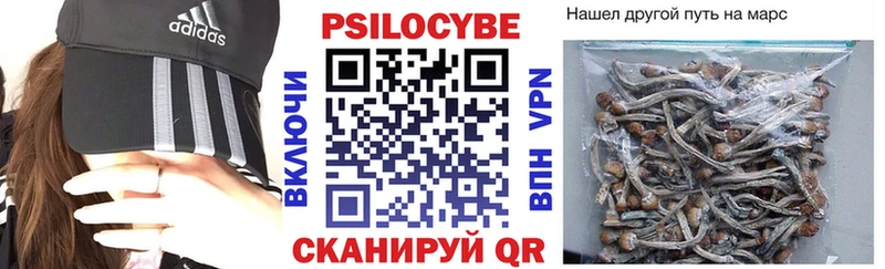 Псилоцибиновые грибы Magic Shrooms  гидра ССЫЛКА  Кизилюрт  как найти  